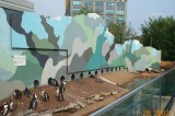 Camden Aquarium - Penguin Pool Exhibit 2